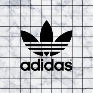 Meet your Posher, Dannie